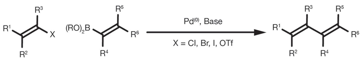 Suzuki_header_image_v2 Suzuki_header_image_v2