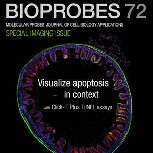 bioprobes bioprobes
