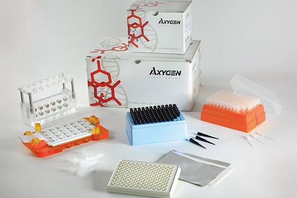 Extract/Purify Extract/Purify