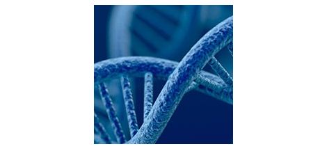 15308_tab_1_image_2_new 15308_tab_1_image_2_new