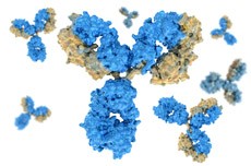 BioLC Columns BioLC Columns