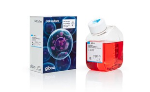 22242_imgs_6 22242_imgs_6