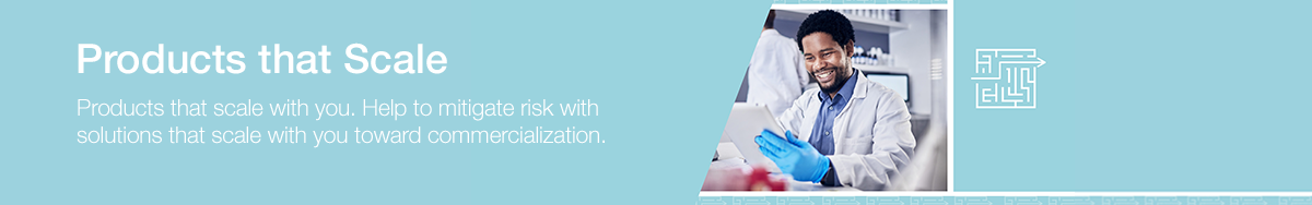 21298_WE46331-header-risk_EN__ 21298_WE46331-header-risk_EN__