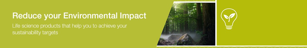 21298_WE46331-header-footprint_text_EN_update 21298_WE46331-header-footprint_text_EN_update