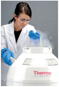 15265_cryogenic_storage_systems_and_equipment_thermo_scientific Thermo Scientific Cryogenic storage systems and equipment