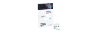 15488_antibody Antibody Purification Kits