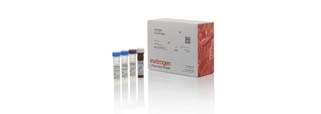 15488_multiplex Multiplex Immunoassays