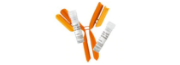 TC-Antibodies-0038 Antibodies