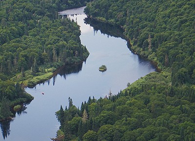 Amazon, the Heart of Mother Earth Amazon, the Heart of Mother Earth